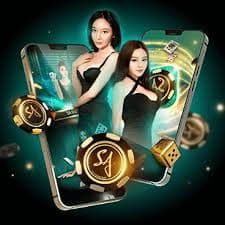 batman 688 ပလက်ဖောင်းအသုံးပြုမှု